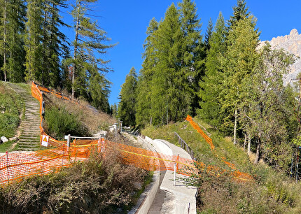 Taglio dei larici a Cortina per la pista da bob: secondo il CAI si tratta di un bosco in meno