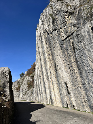 Napoleonica, Trieste - Lo Scudo della Napoleonica, Trieste Napoleonica, Trieste - Lo Scudo della Napoleonica, Trieste