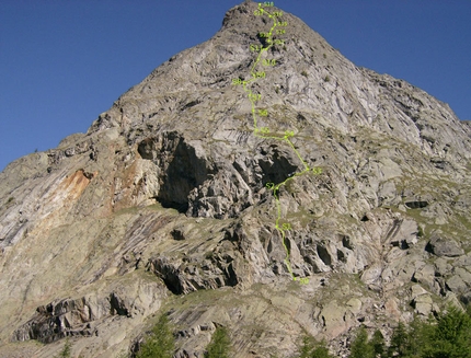 Aiguille de Chatelet - via Carpe diem - Tracciato della via Carpe diem, Aiguille de Chatelet, Monte Bianco