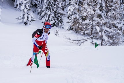 Pitturina Ski Race - Pitturina Ski Race 2014, Val Comelico