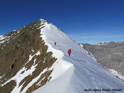 Monte Confinale, Alta Valtellina - Monte Confinale, Alta Valtellina: in discesa dalla cresta SE