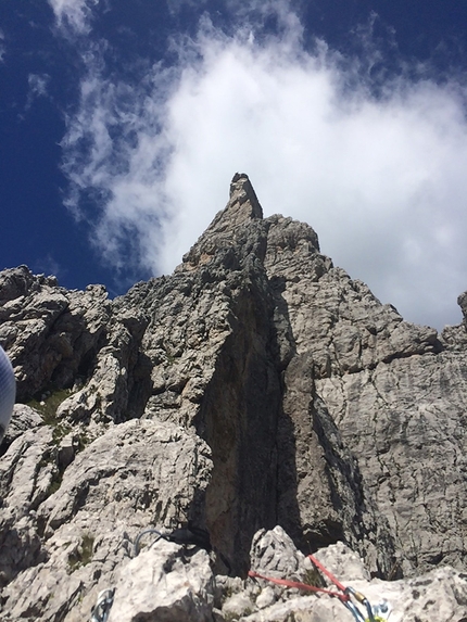 Tuttavita alla Torre Laura, una nuova via nel gruppo delle Marmarole, Dolomiti