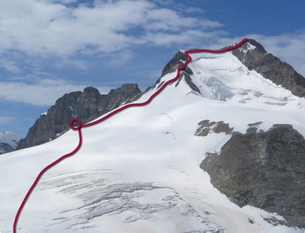 Pizzo Bernina, Scialpinismo e Sci Ripido, i 4000 delle Alpi - Pizzo Bernina