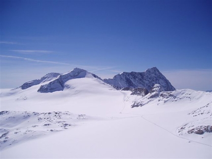 Adamello ski mountaineering - Adamello Tour - Corno Bianco and Adamello