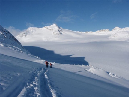 Adamello ski mountaineering - Adamello Tour - Corno Bianco