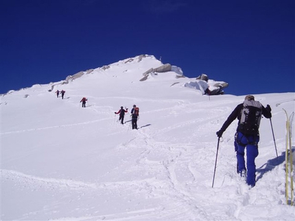 Adamello ski mountaineering - Adamello Tour - Vetta Adamello