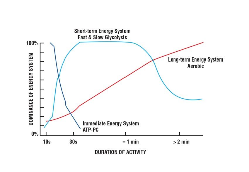 Dominant Energy System Based on Activity Duration