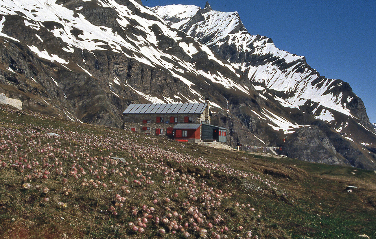 Granta Parei Val di Rhêmes Valle d'Aosta