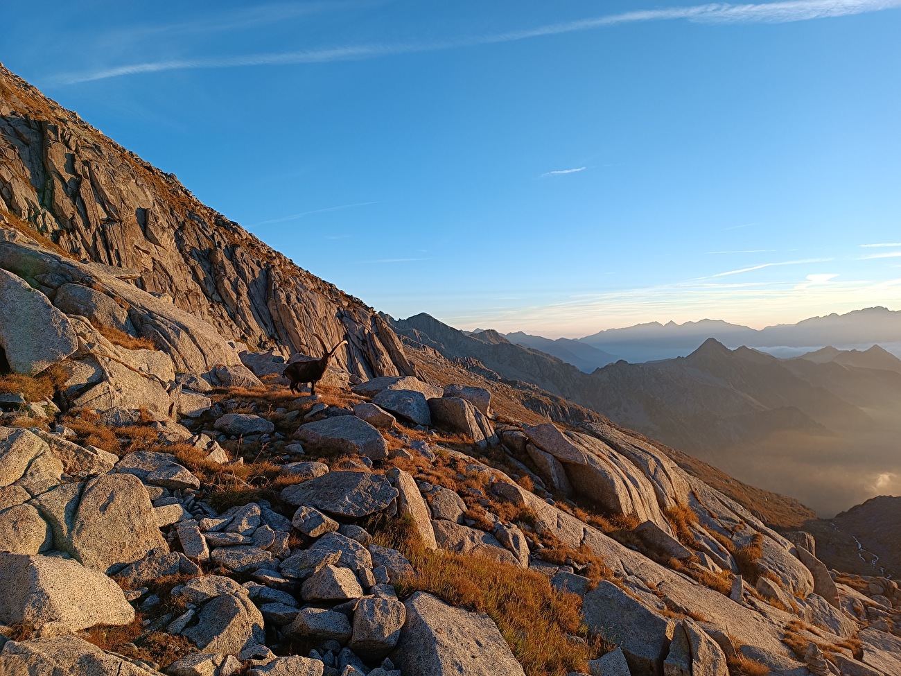 Tempo per respirare, Carè Alto, Adamello - Presanella, Marco Fedrizzi, Francesco Salvaterra