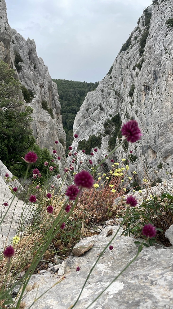 Gorropeddu, Supramonte, Baunei, Sardegna