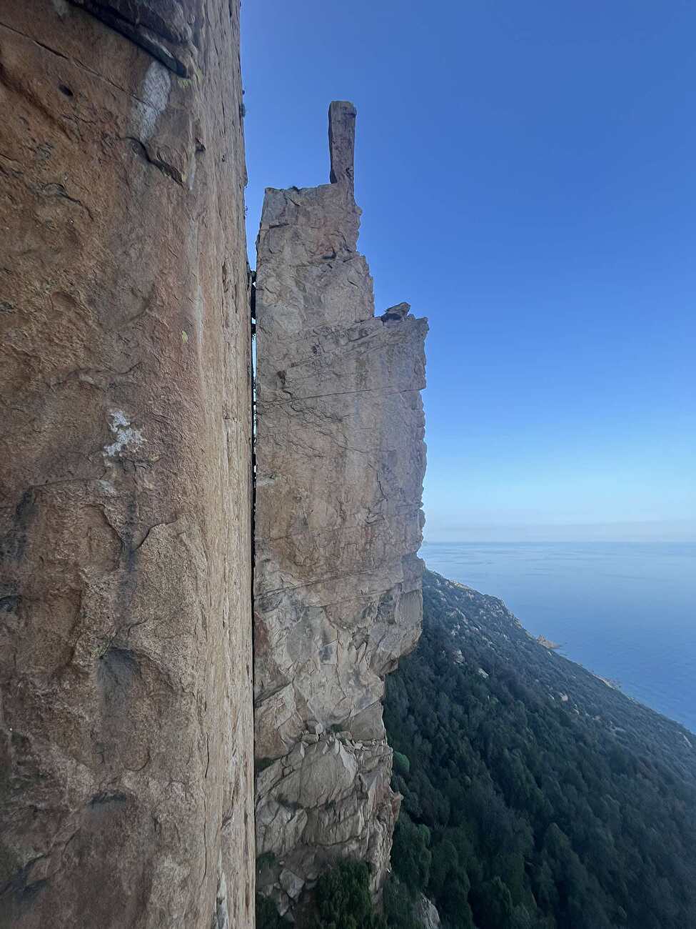 Dillosauro Sardinia, Enrico Sasso