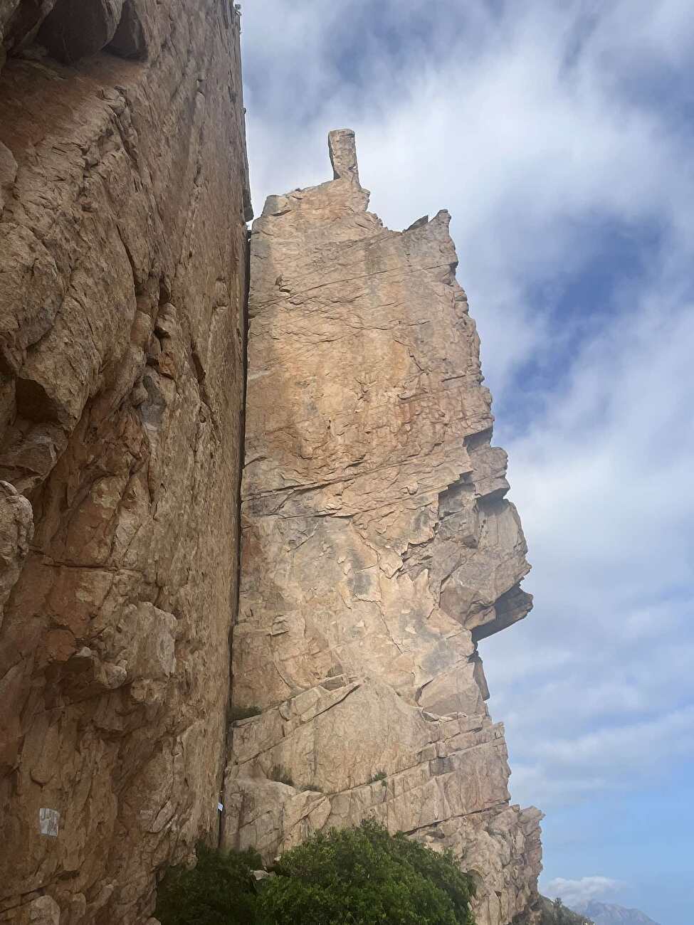 Dillosauro Sardinia, Enrico Sasso