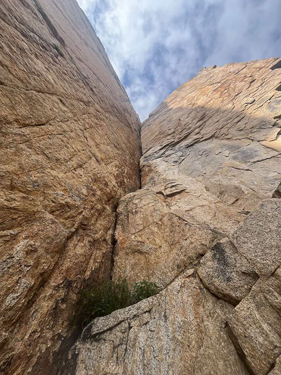 Dillosauro Sardinia, Enrico Sasso