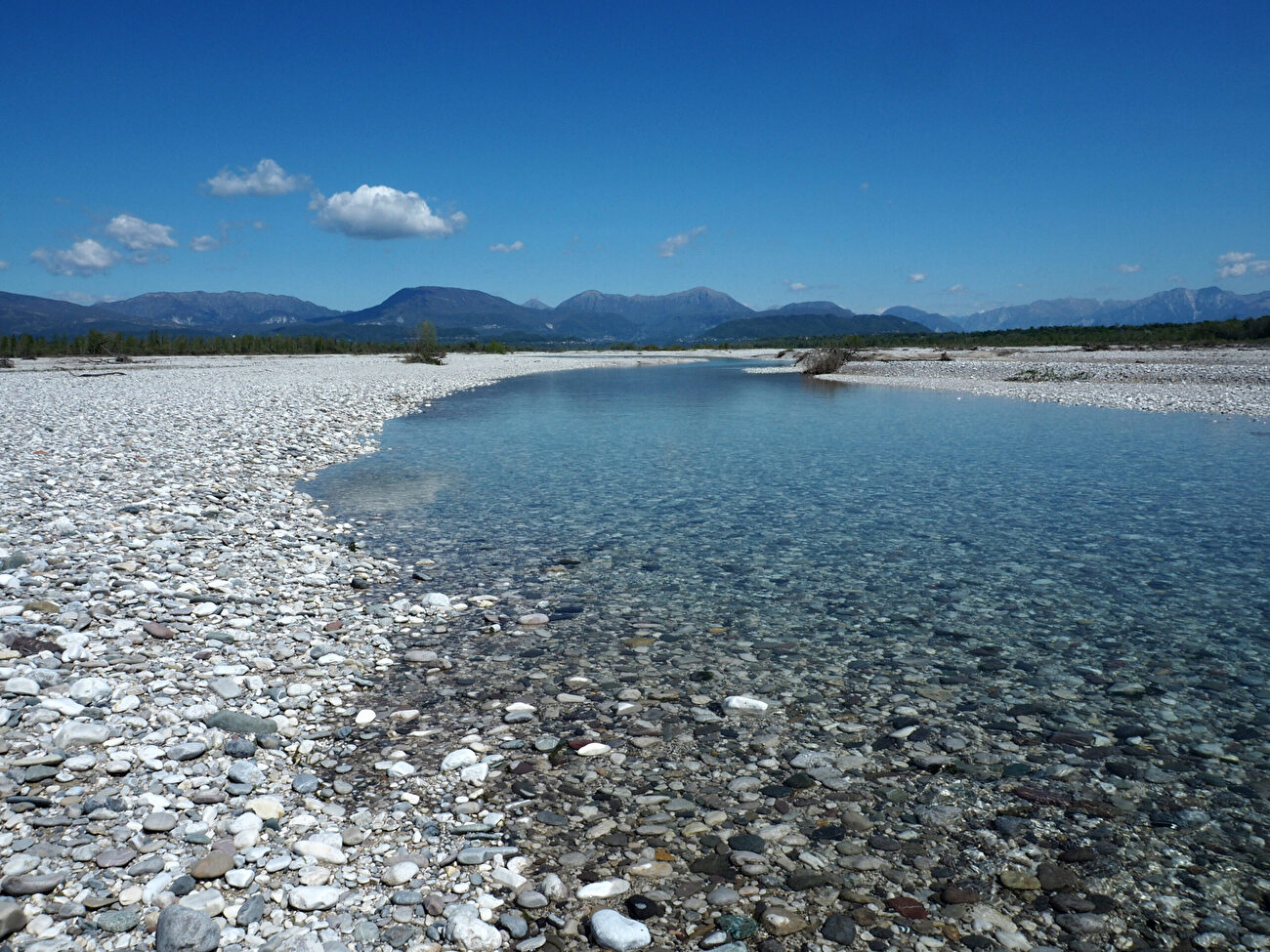 Tagliamento