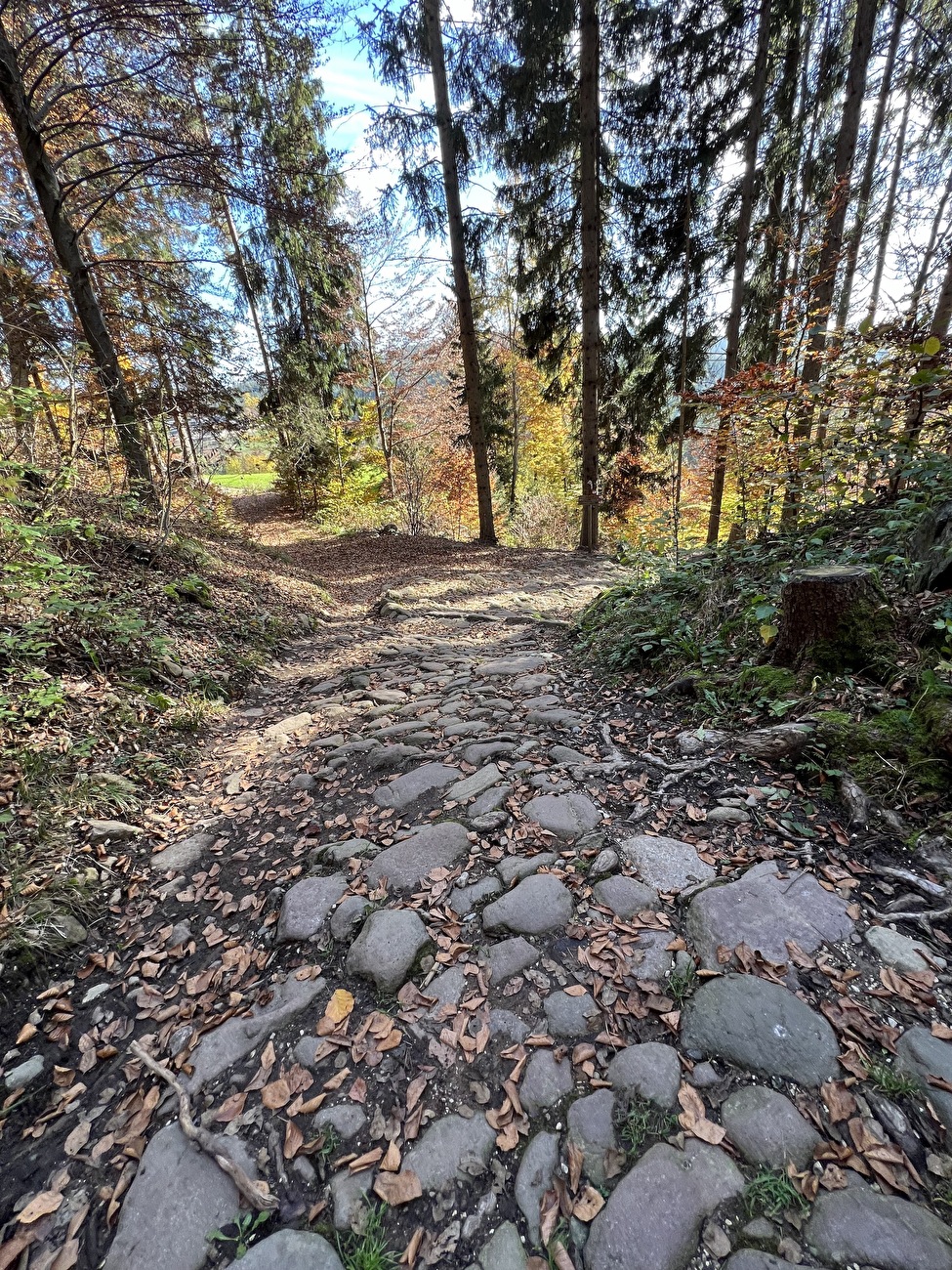 Piramidi di terra Renon, Alto Adige