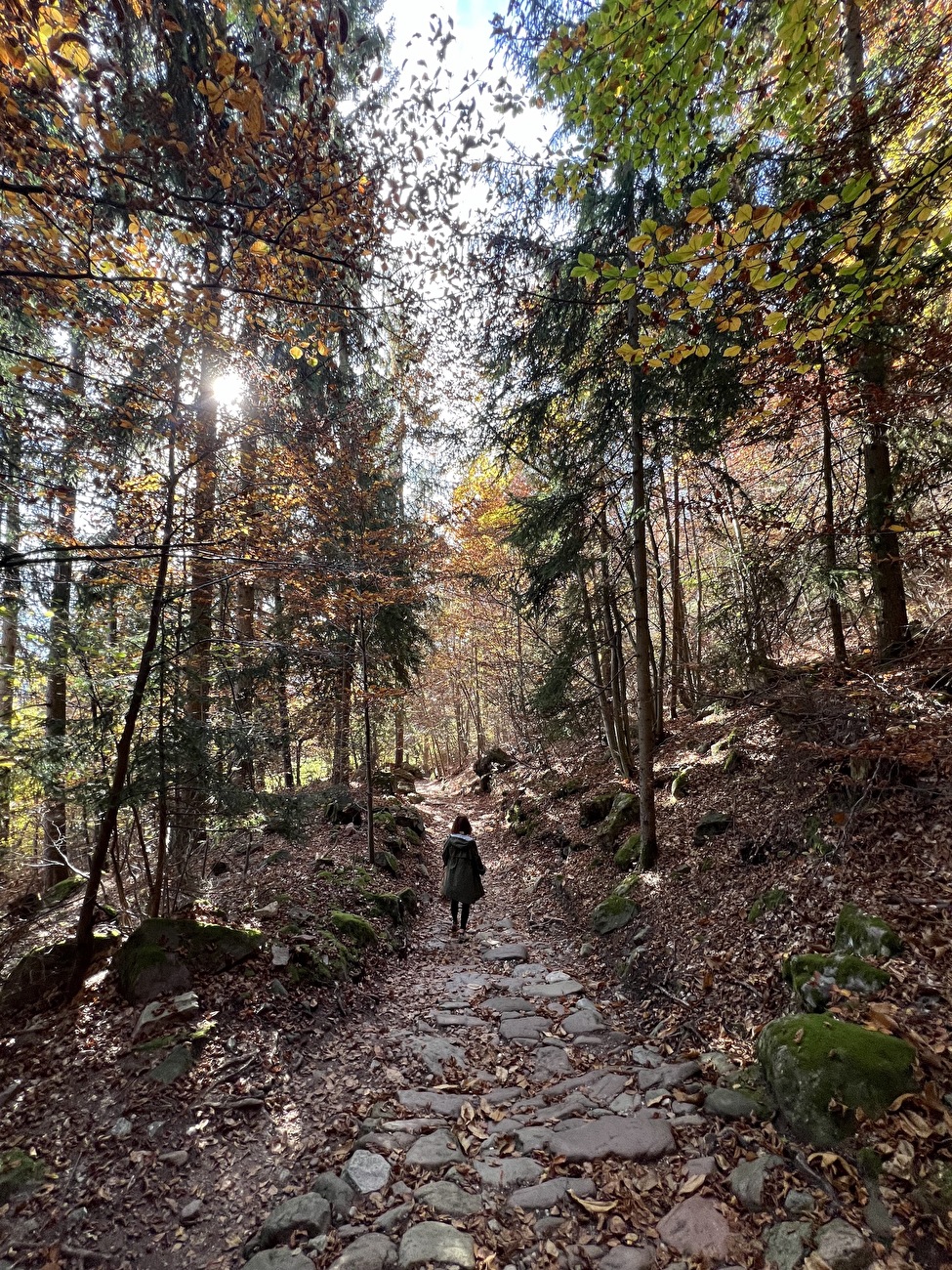 Piramidi di terra Renon, Alto Adige