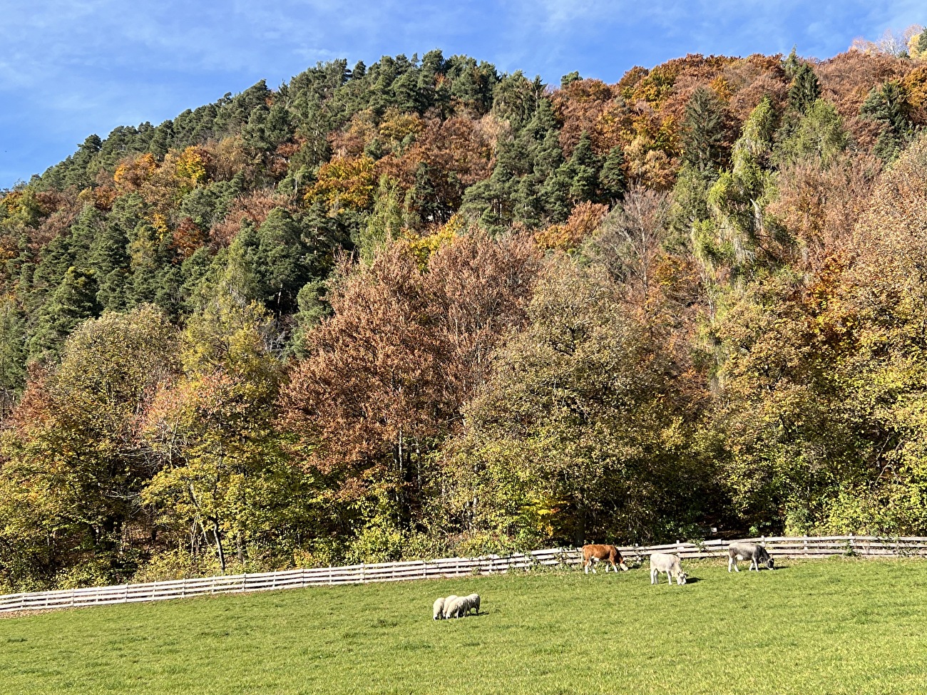 Piramidi di terra Renon, Alto Adige