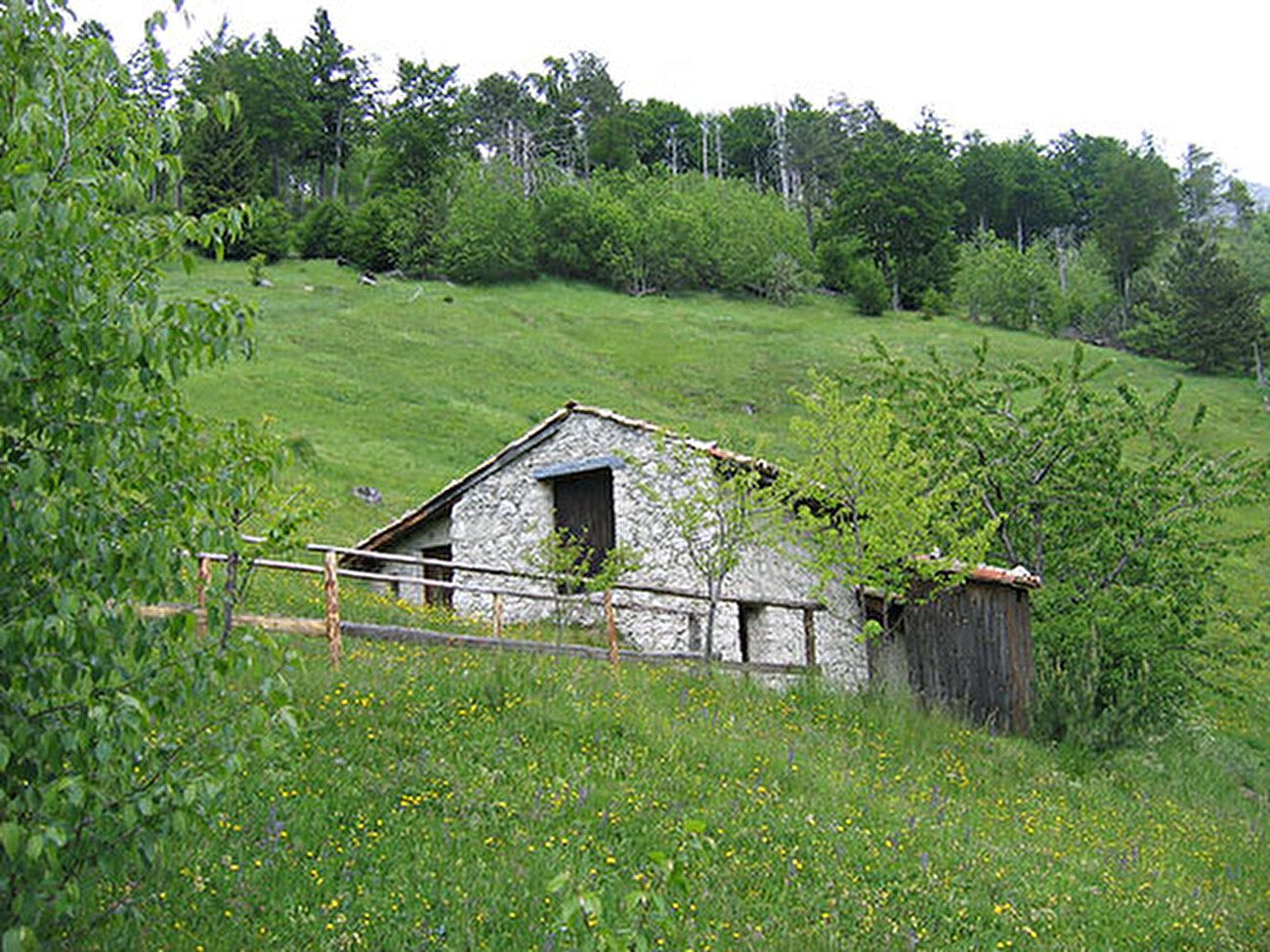 Alta Via Resiana