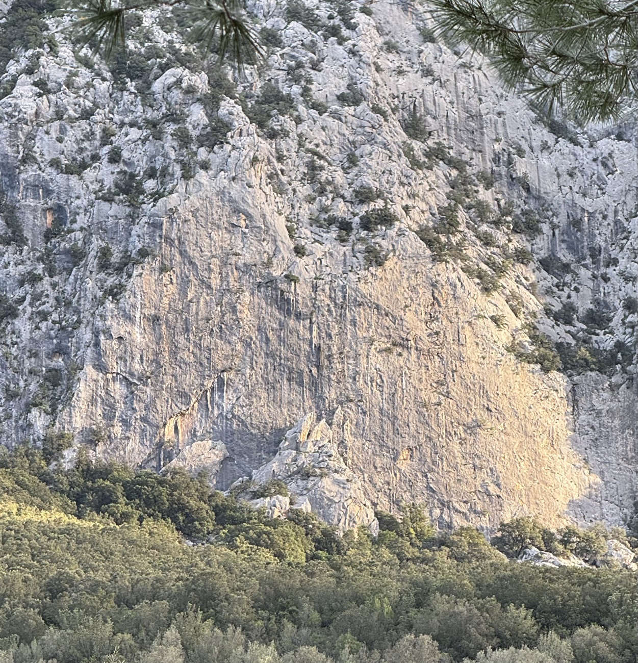 Damia, Valle di Lanaitto, Sardegna