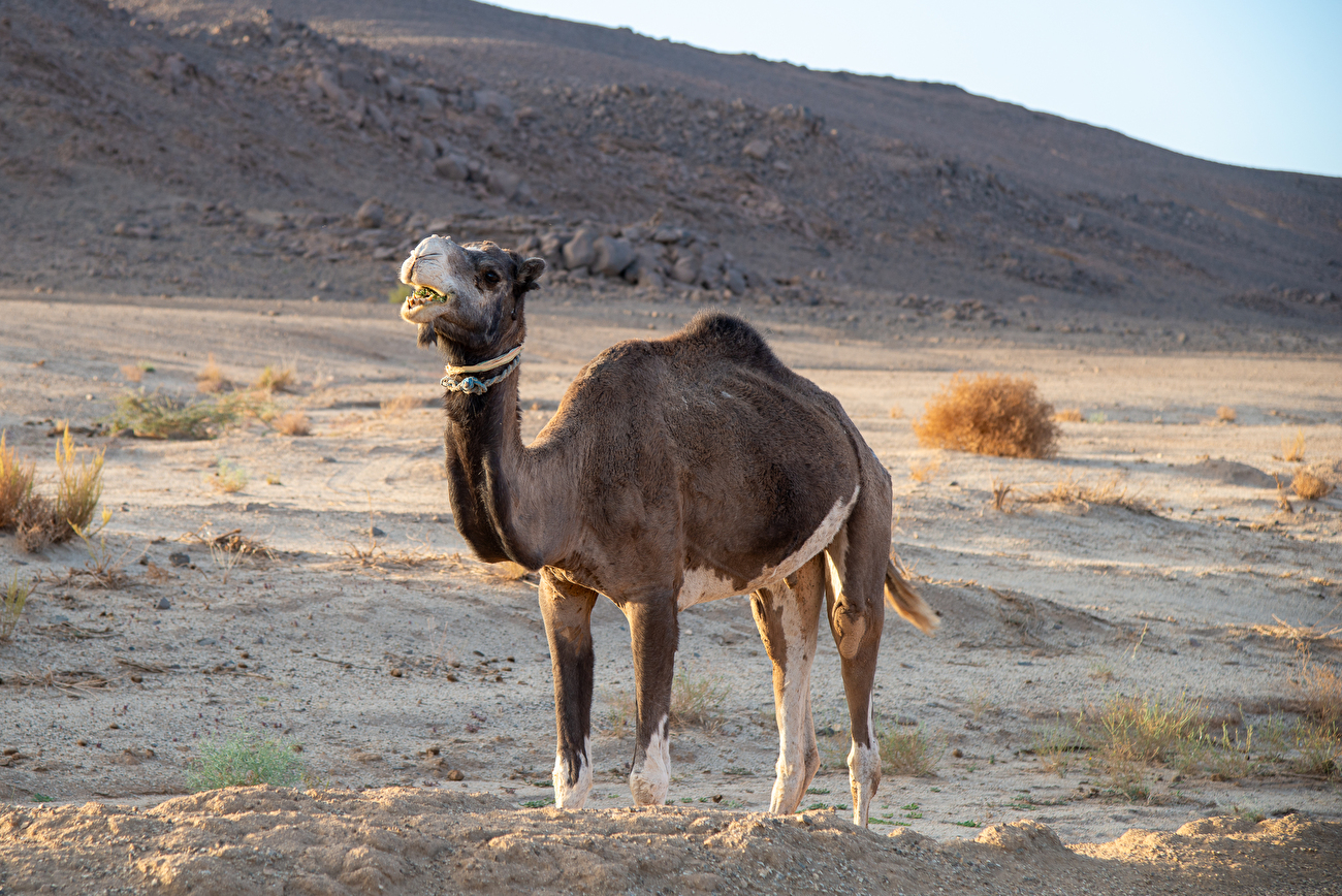 Hoggar Algeria, Richard Felderer, Federico Martinelli, Luca Vallata