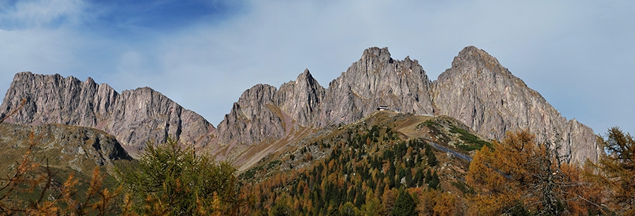 Parco Naturale Paneveggio Pale di San Martino, Dolomiti
