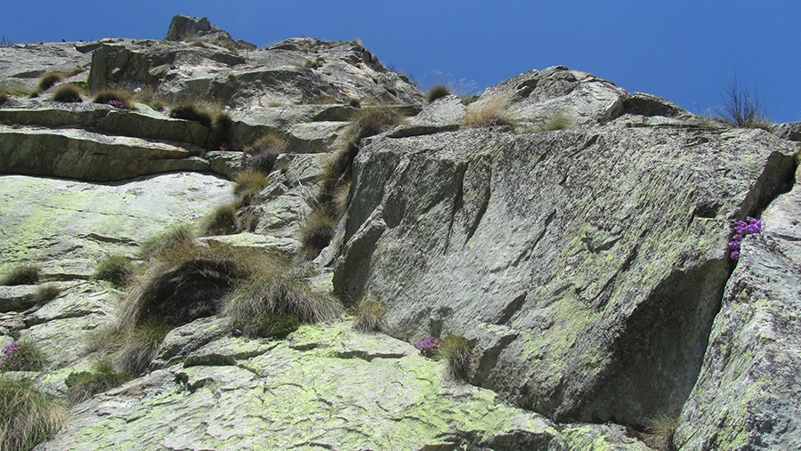 Parete del Silenzio, Valle del Lys, Valle di Gressoney, arrampicata