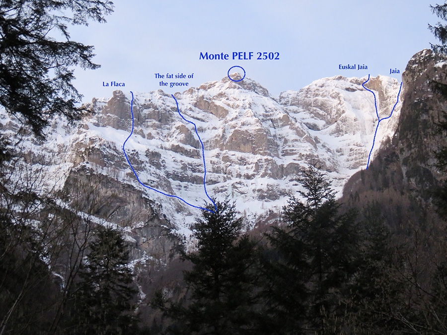 Monte Pelf Bellunese Dolomites