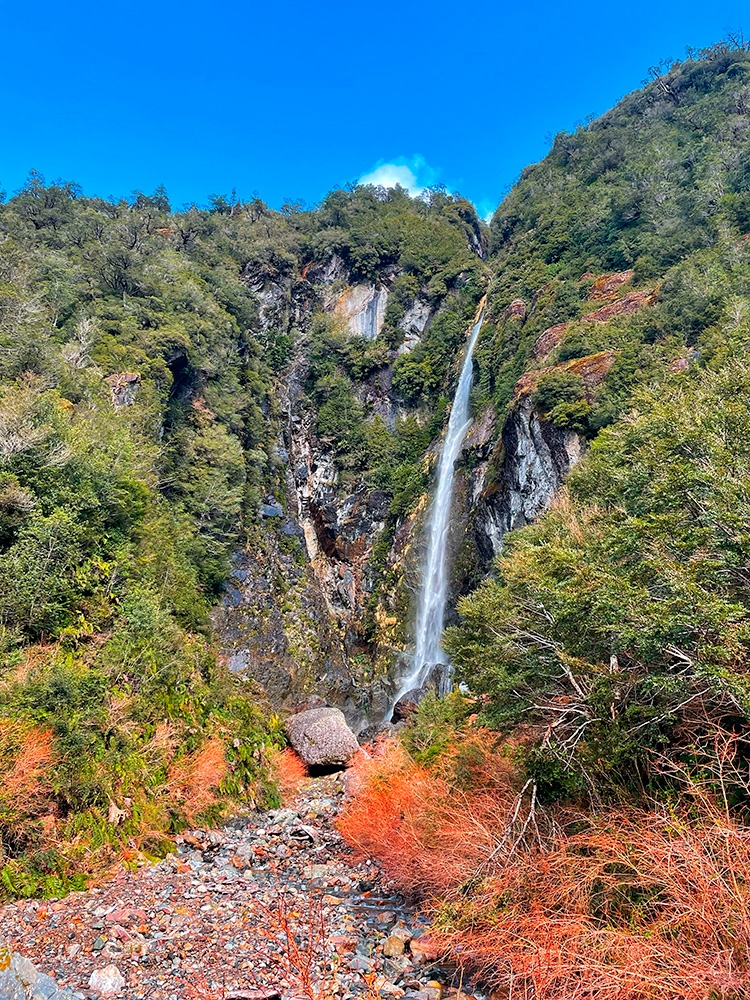 Queulat National Park, Patagonia, Chile, Nicolò Guarrera