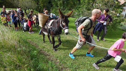 AKU partecipa all’iniziativa #itsgreatoutthere - AKU trekking & outdoor footwear partecipa a #itsgreatoutthere del European Outdoor Group con il 'Trek con gli asini' nel Parco Nazionale Dolomiti Bellunesi.