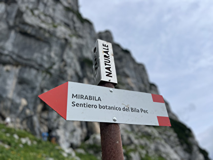 Bila Pec, Alpi Giulie - MIRABILA, il sentiero botanico del Bila Pec, Alpi Giulie