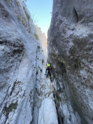 Gorropeddu, Supramonte, Baunei, Sardegna - L’apertura di ‘La chiamavano libertà’ a Gorropeddu, Supramonte di Baunei, Sardegna (Arianna Fiorino, Simone Mapelli, Francesco Pittau 2020-2024)