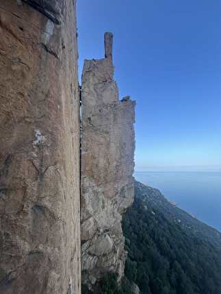 Dillosauro Sardinia, Enrico Sasso - Dillosauro Sardinia