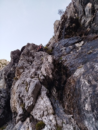 Torre dei Feruch, Dolomiti Bellunesi, Davide Cassol, Gabriele Walicki - L'attacco di 'I sogni di Brunner' alla Torre dei Feruch, Dolomiti Bellunesi (Davide Cassol, Gabriele Walicki 29/09/2024) 