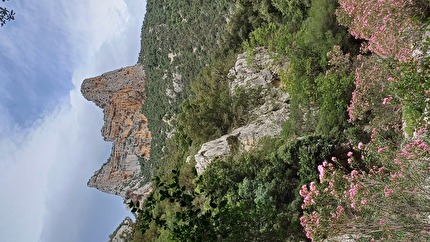 Sardegna, Supramonte, Graziano Dore, Luca da Ronche - Su Caddu ‘e Marcu Spanu in Sardegna, visto dalla Codula