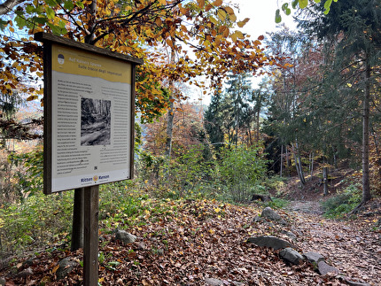 Piramidi di terra Renon, Alto Adige - Piramidi di terra del Renon - Soprabolzano: l'inizio della discesa nel bosco