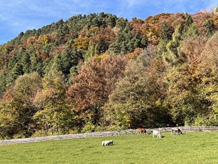 Piramidi di terra Renon, Alto Adige - Piramidi di terra del Renon - Soprabolzano: il prato sopra le piramidi