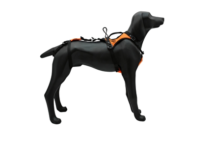 Kong Haria - Kong Haria - dog harness for rescue, work, police