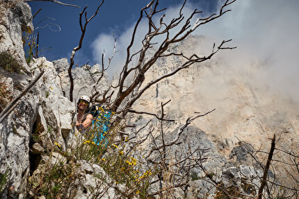 Seconda Pala di San Lucano, Dolomiti, Martin Dejori, Titus Prinoth, Alex Walpoth - L'apertura di 'Un Mondo a parte' sulla Seconda Pala di San Lucano, Dolomiti (Martin Dejori, Titus Prinoth, Alex Walpoth 27-29/10/2024)