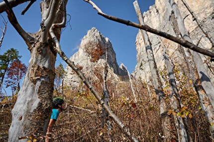 Seconda Pala di San Lucano, Dolomiti, Martin Dejori, Titus Prinoth, Alex Walpoth - L'apertura di 'Un Mondo a parte' sulla Seconda Pala di San Lucano, Dolomiti (Martin Dejori, Titus Prinoth, Alex Walpoth 27-29/10/2024)