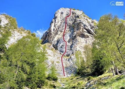 Il Orso