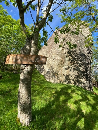 Selvola