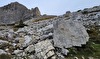 Dinosaur footprint boulder vandalised below Tre Cime di Lavaredo (Dolomites) with 'Tourists go home' graffiti