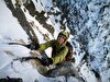 Ondrej Húserka perde la vita sul Langtang Lirung in Nepal