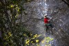 Barbara Zangerl repeats Magic Line (8c+) in Yosemite