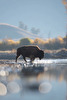 Yellowstone, un viaggio nella natura del parco più iconico al mondo, con l'ambassador AKU Jonathan Giovannini, Yellowstone, un viaggio nella natura del parco più iconico al mondo, con l'ambassador AKU Jonathan Giovannini,