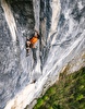 Alexander Huber frees Feuersalamander on Gösslerwand in Austria