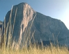 Connor Herson & Alex Honnold climbing in Yosemite